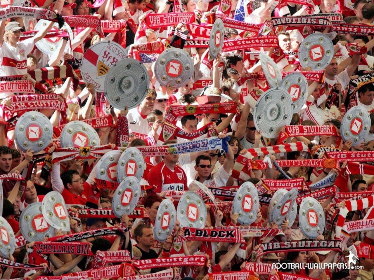 VfB Stuttgart fans celebrate