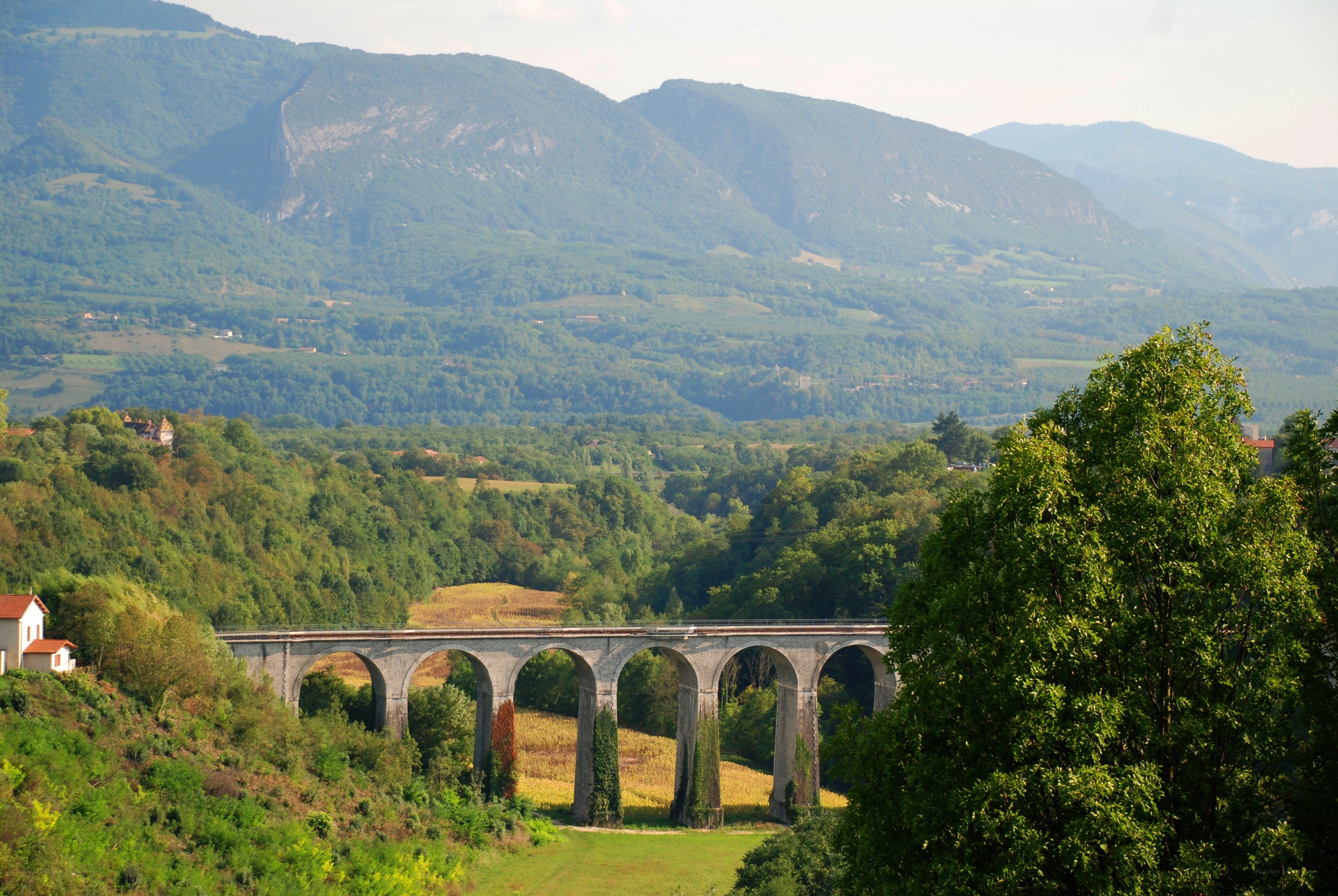 Viaduct in a green valley