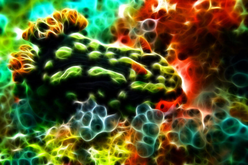 vibrant abstract cellular forms