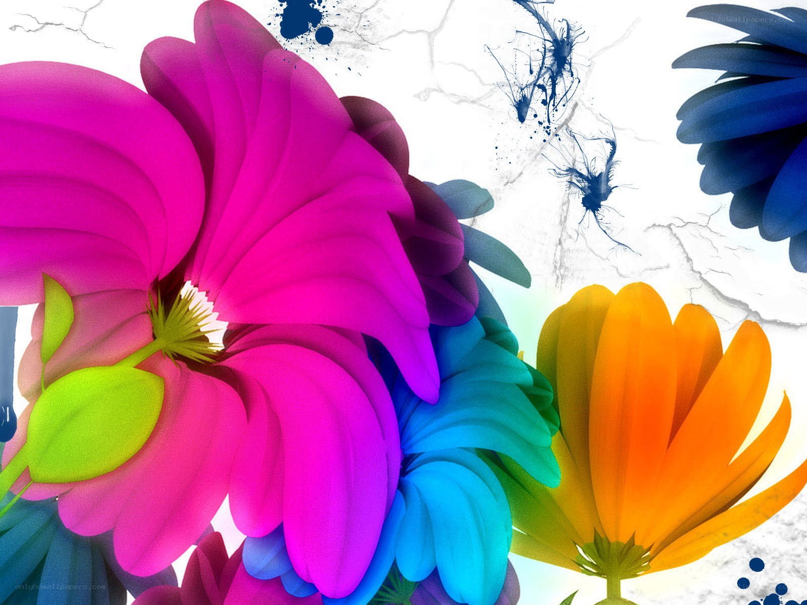 vibrant abstract floral art