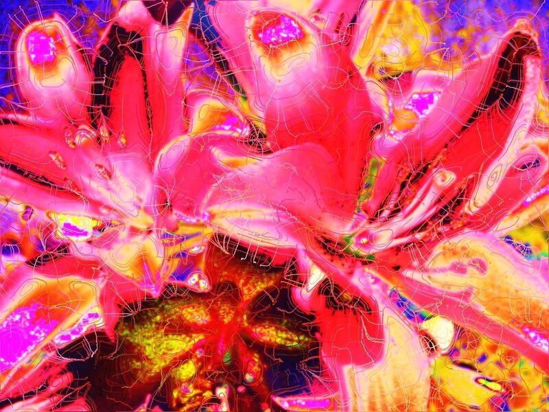 vibrant abstract floral pattern