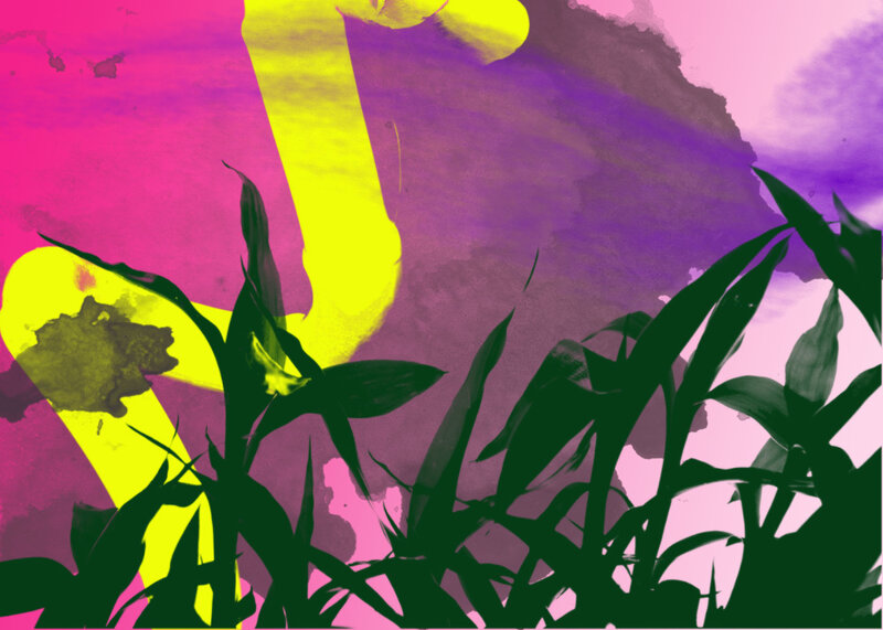 vibrant abstract plant art