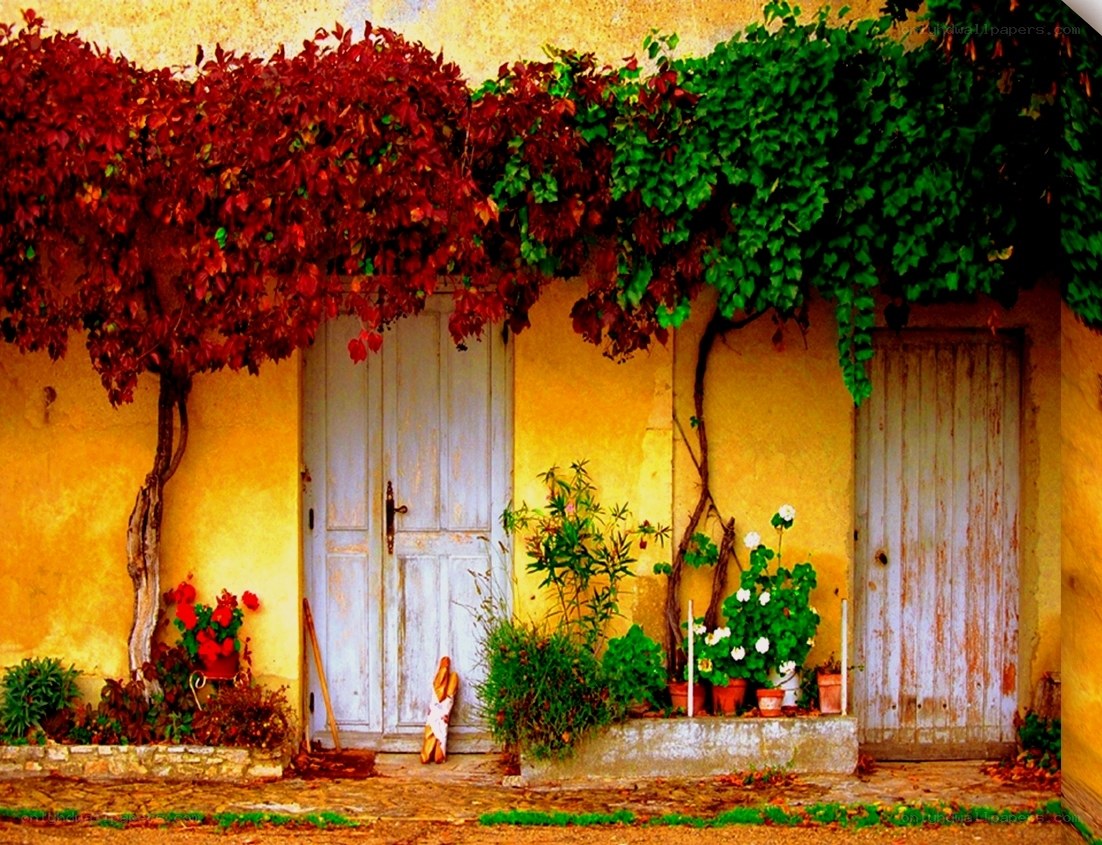 vibrant autumn doorway
