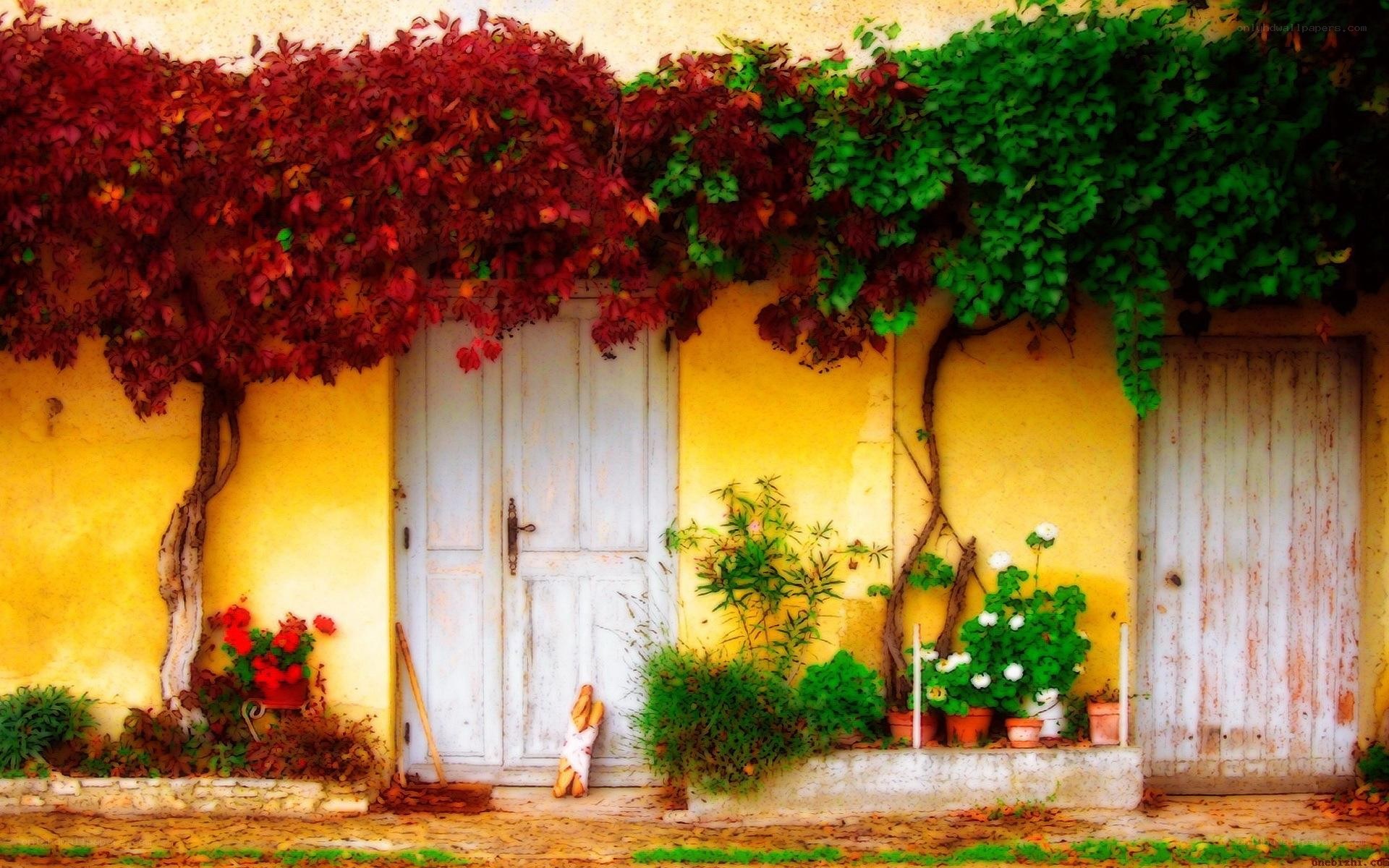 vibrant autumn doorway