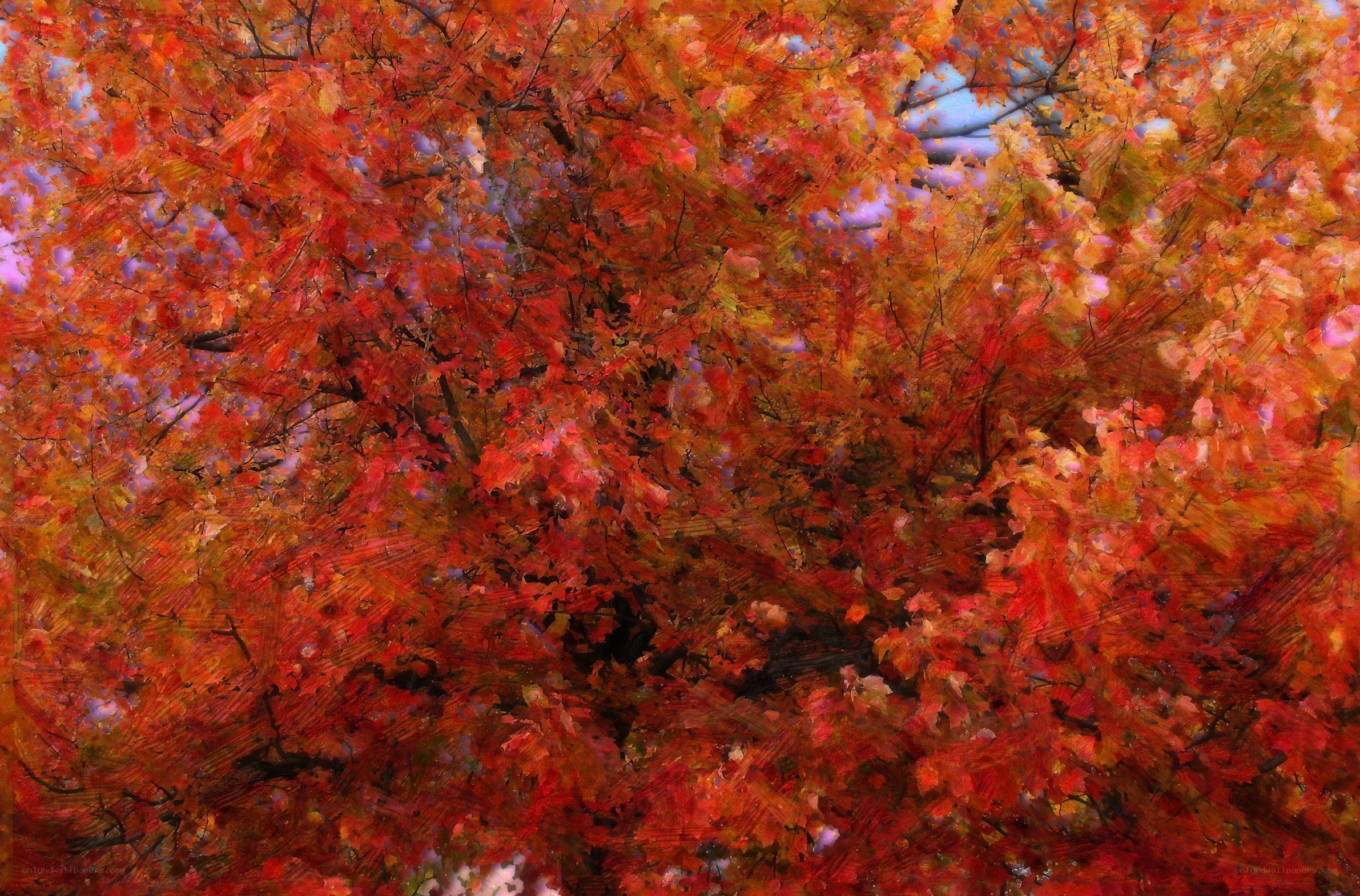 Vibrant autumn foliage