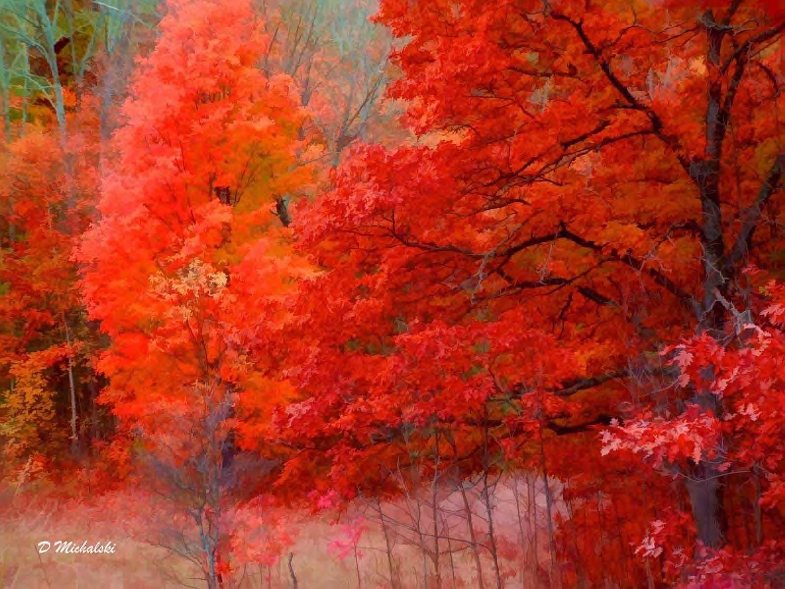 Vibrant autumn forest