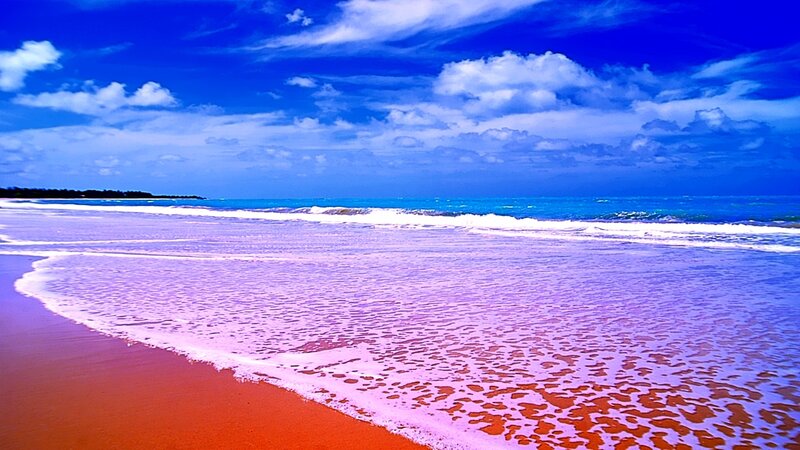 Vibrant beach with purple waves