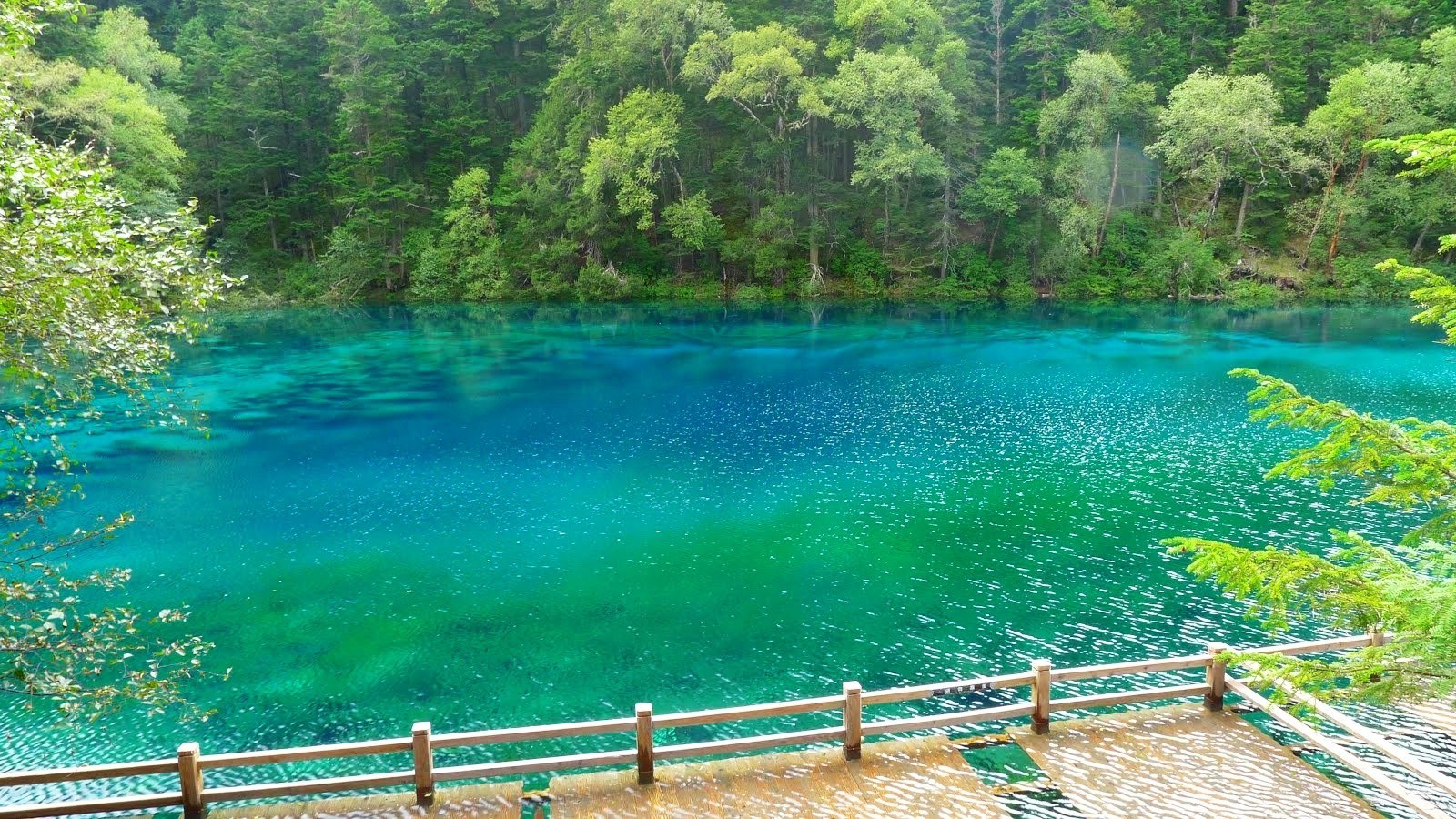 vibrant blue lake in forest