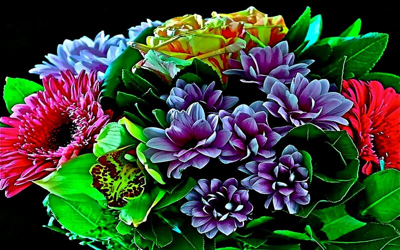 vibrant bouquet of colorful flowers