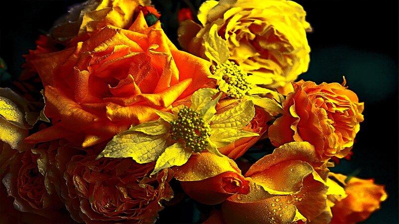 vibrant bouquet of roses