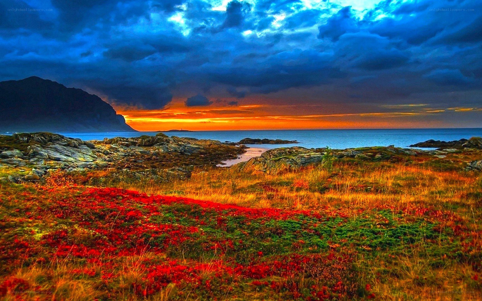 Vibrant coastal sunset landscape