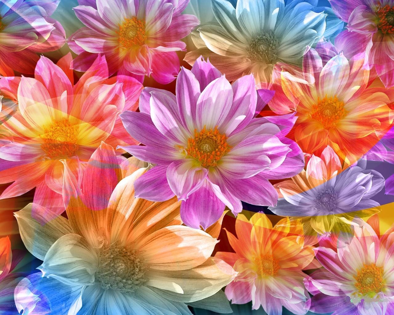vibrant colorful flower collage