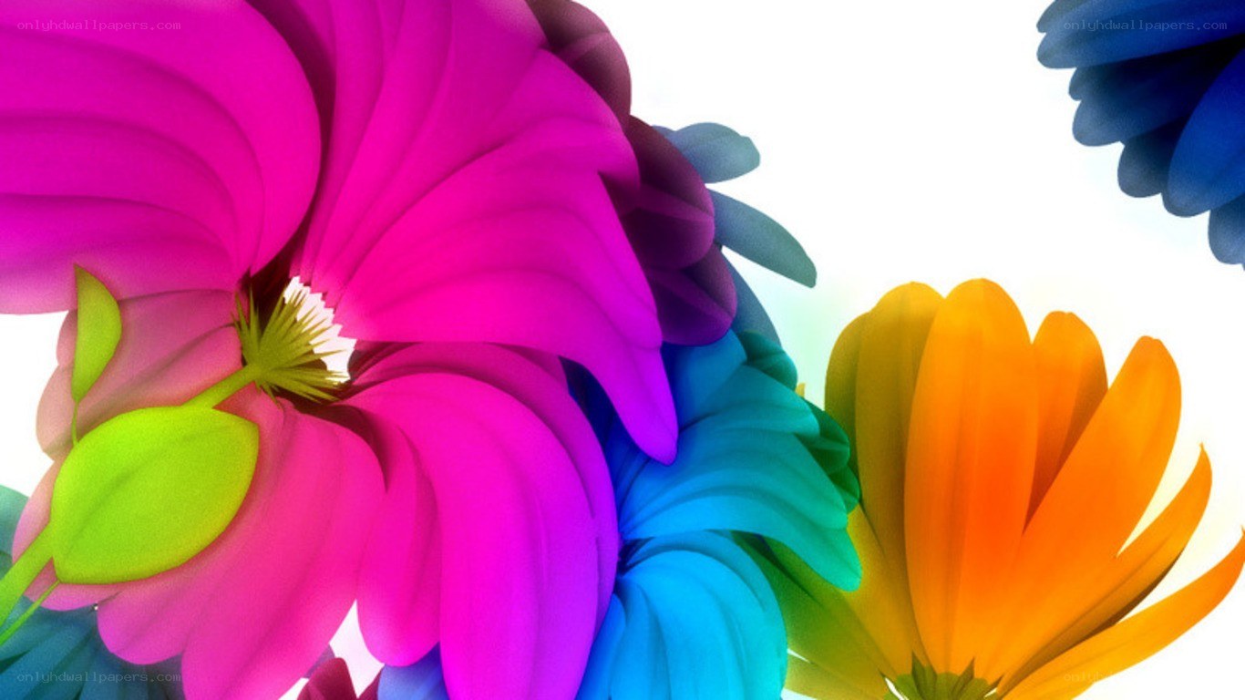 vibrant colorful flowers