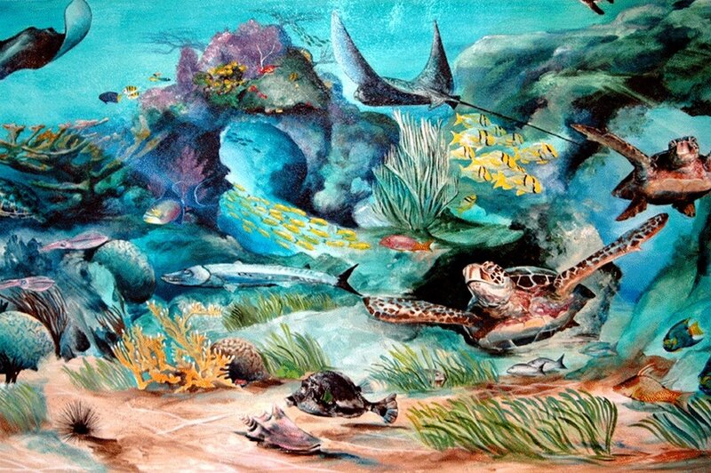 vibrant coral reef life