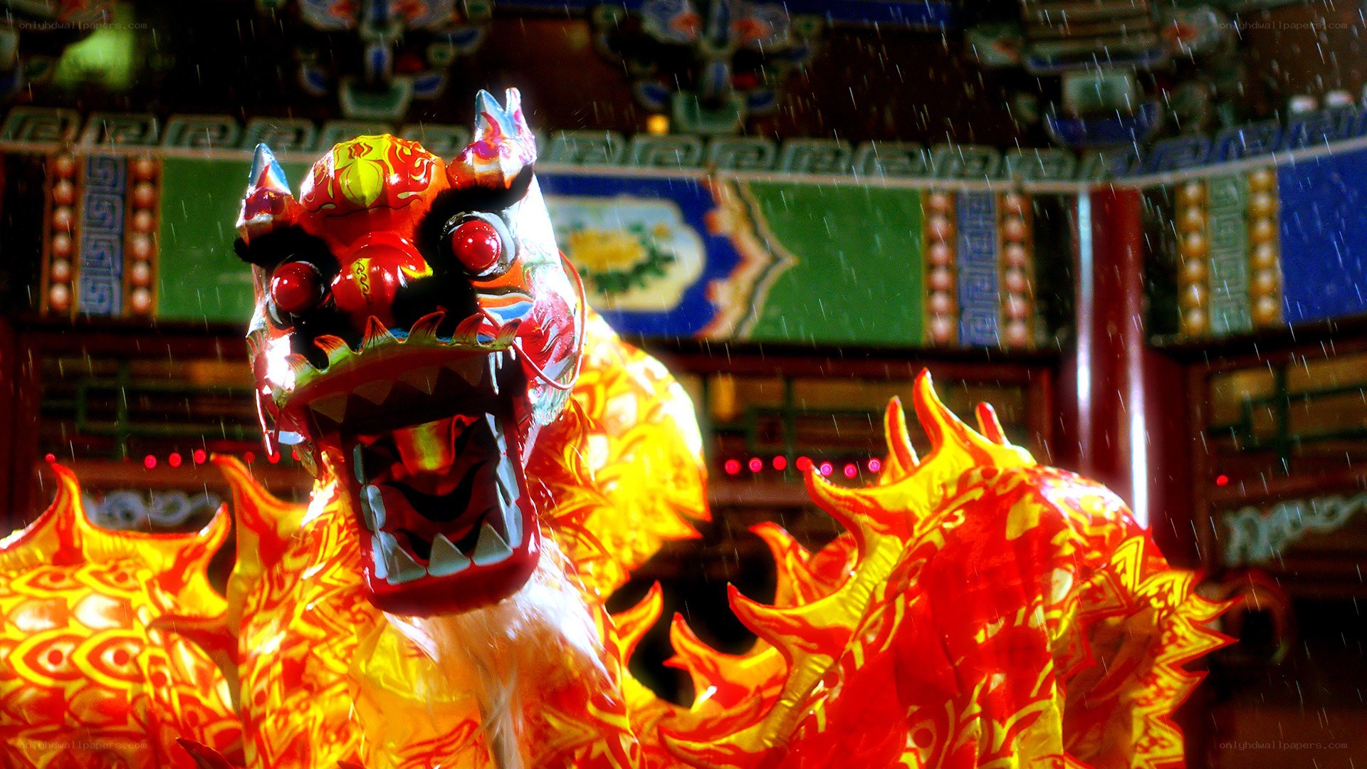 Vibrant dragon dance in rain