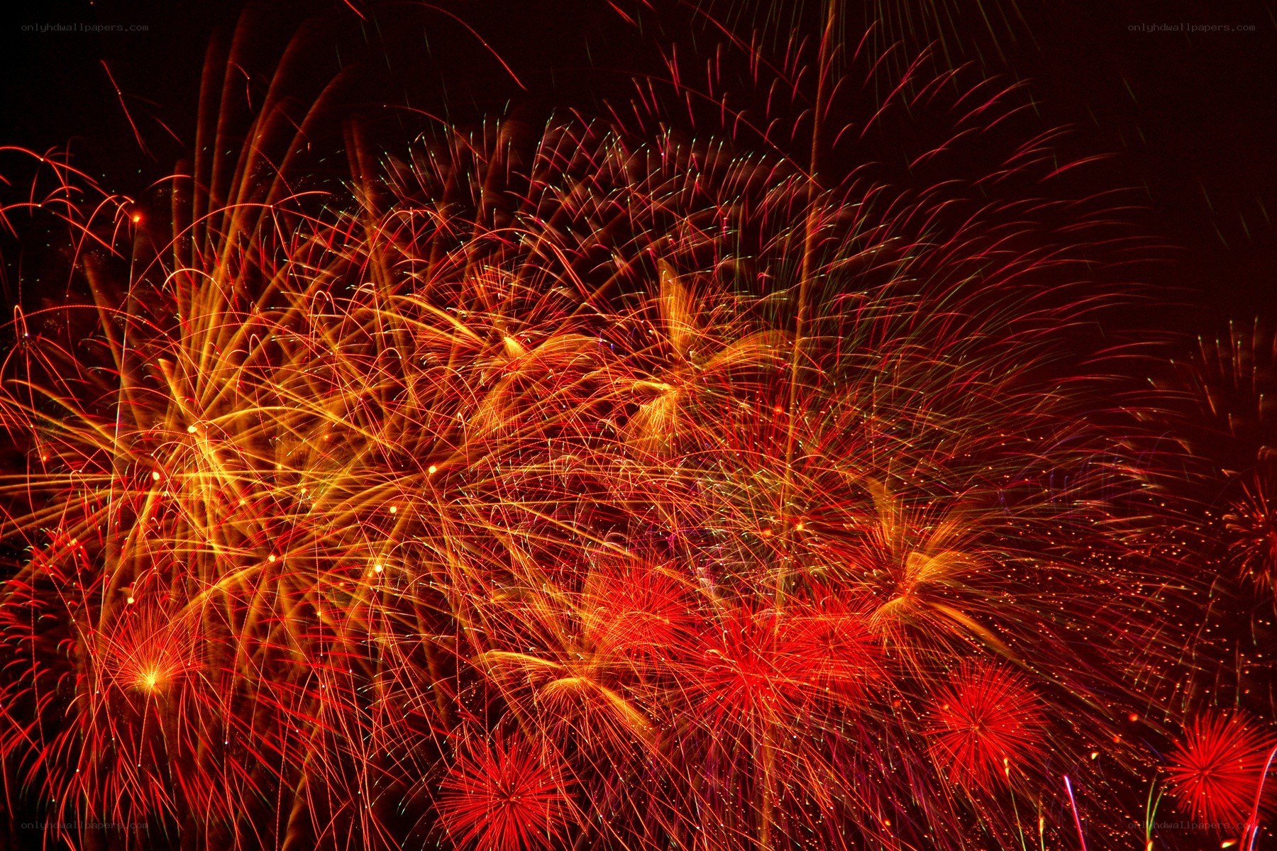 Vibrant fireworks display