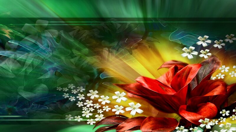 vibrant floral abstract art