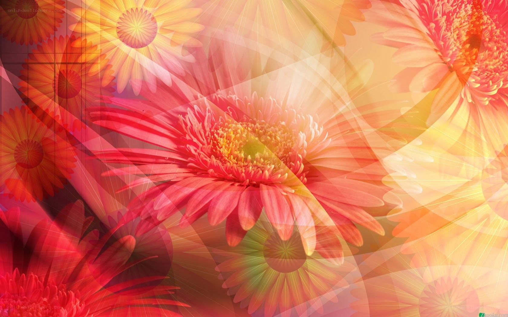 vibrant floral abstract background