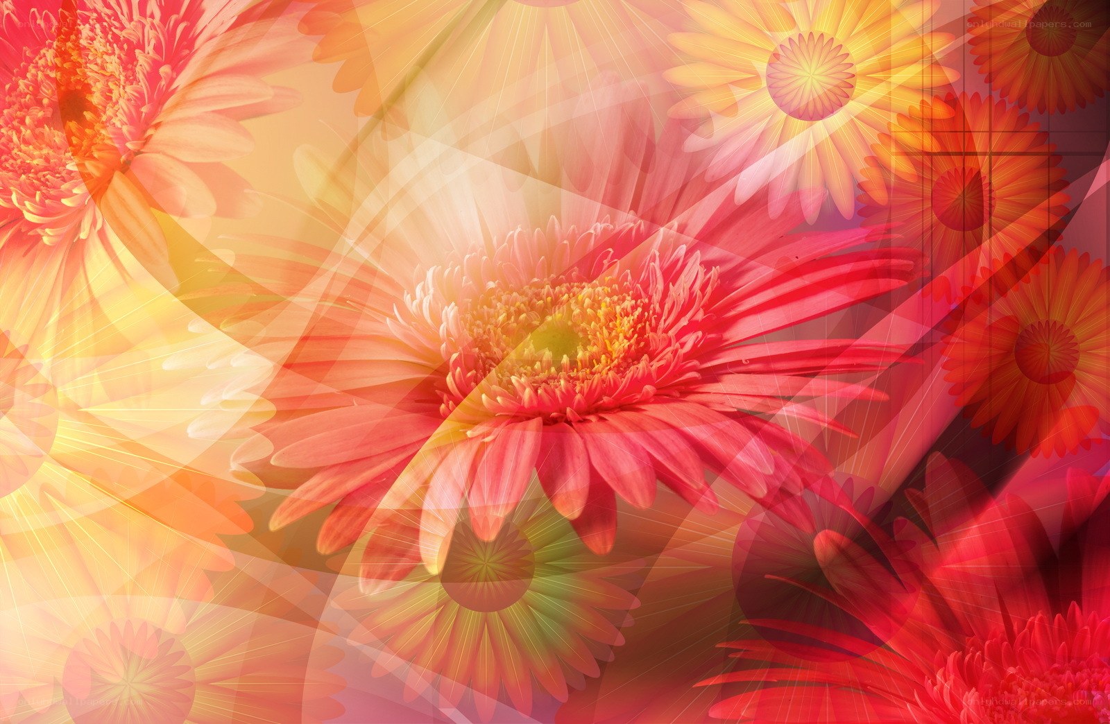 vibrant floral abstract design