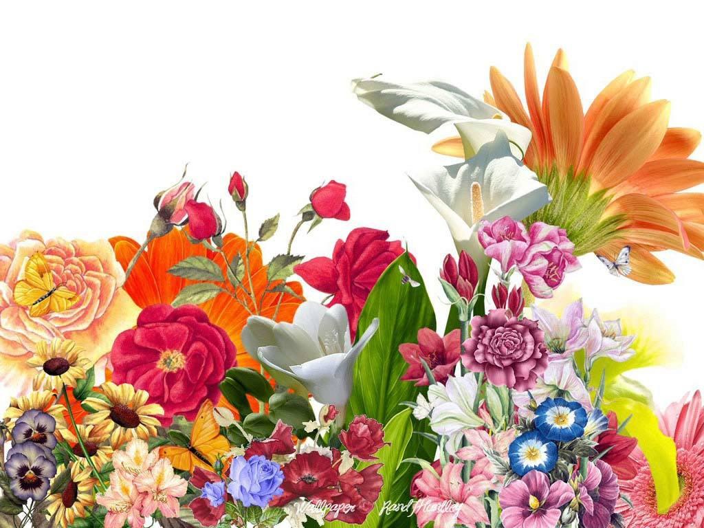 vibrant floral bouquet collage
