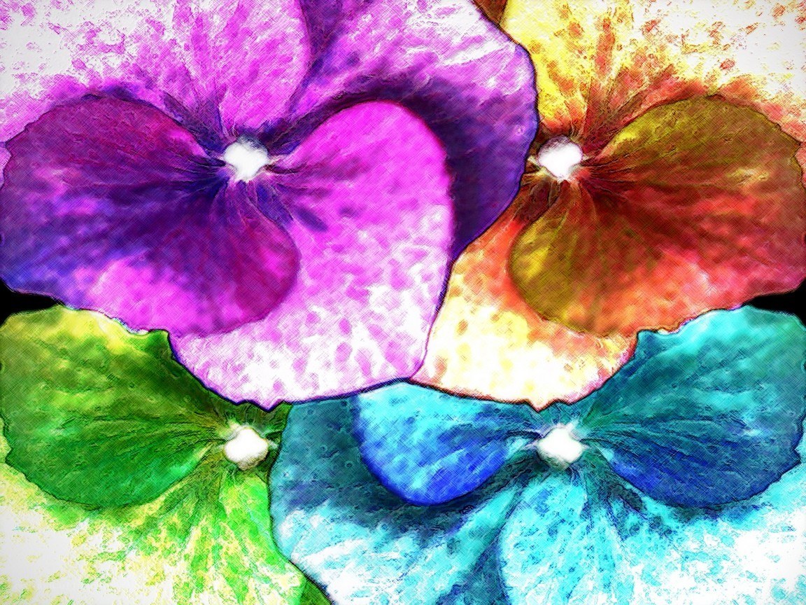 vibrant flower art collage