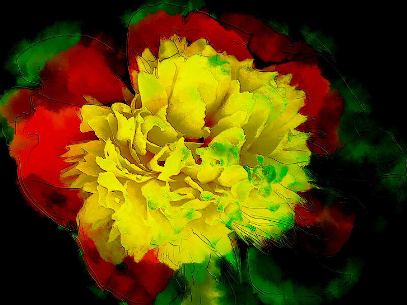 vibrant flower art
