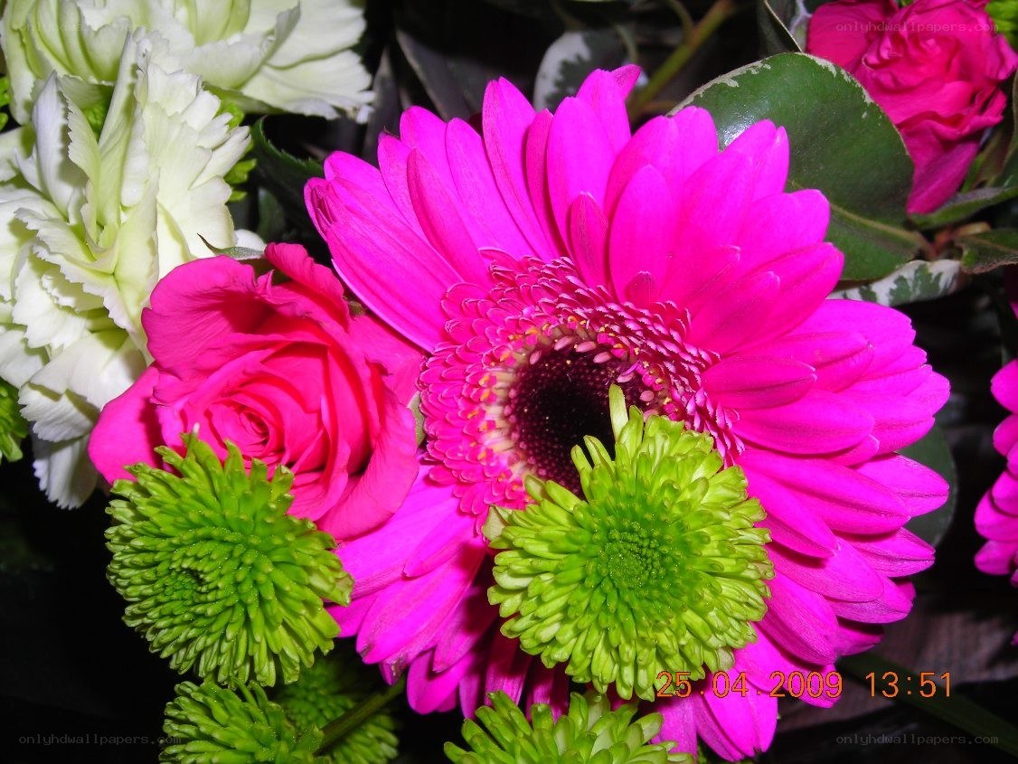 vibrant flower bouquet