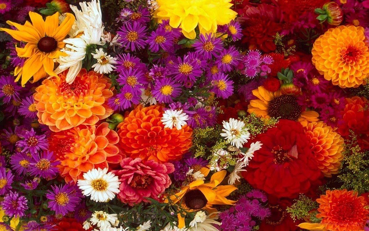 vibrant flower bouquet