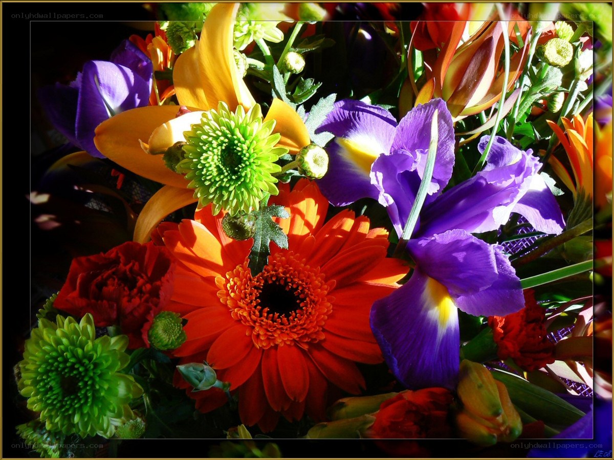vibrant flower bouquet