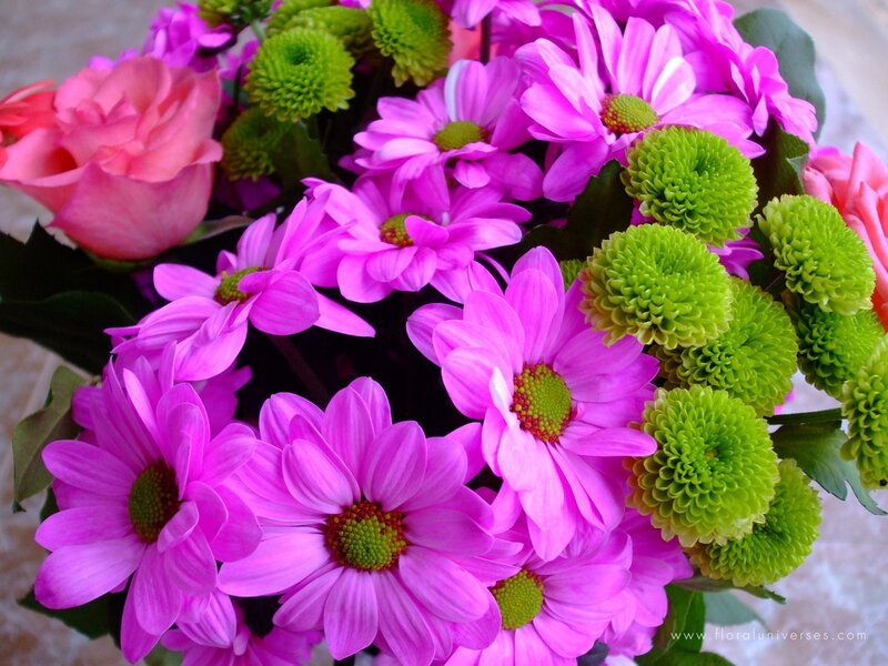 vibrant flower bouquet