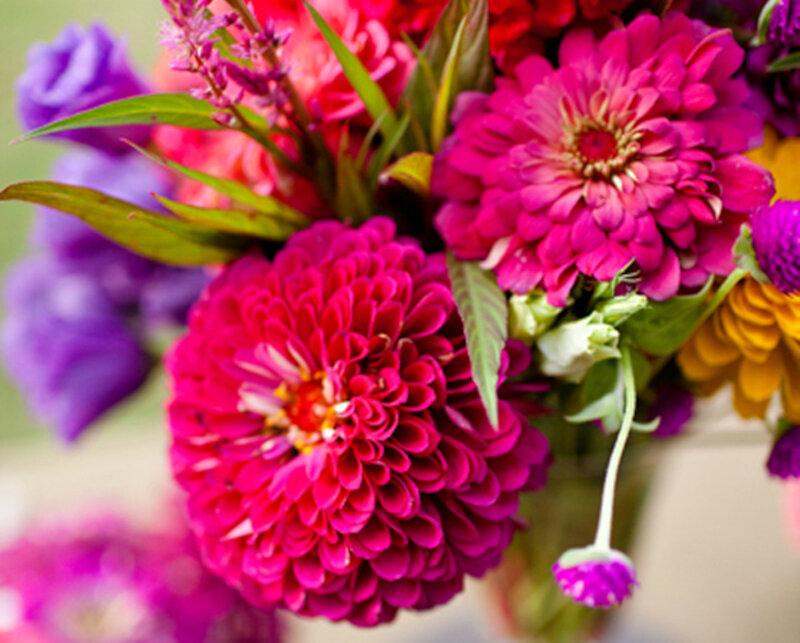 Vibrant Flower Bouquet — Pink, Colorful