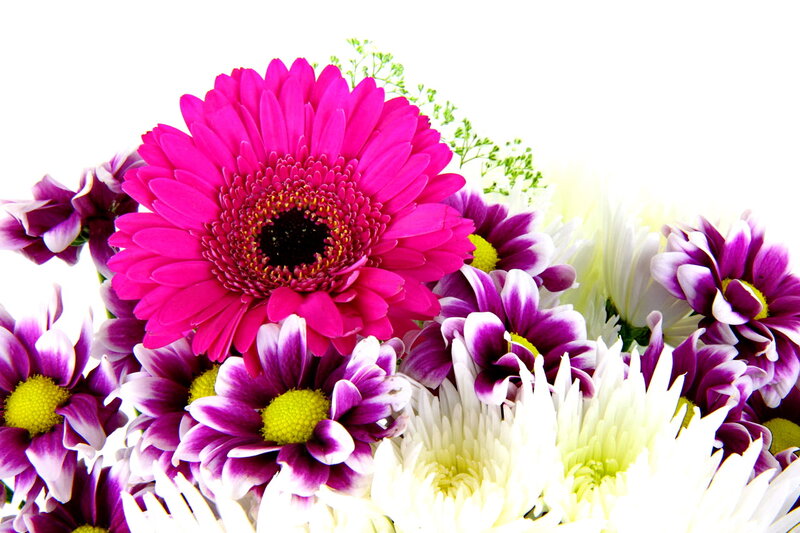 Vibrant Flower Bouquet — Pink