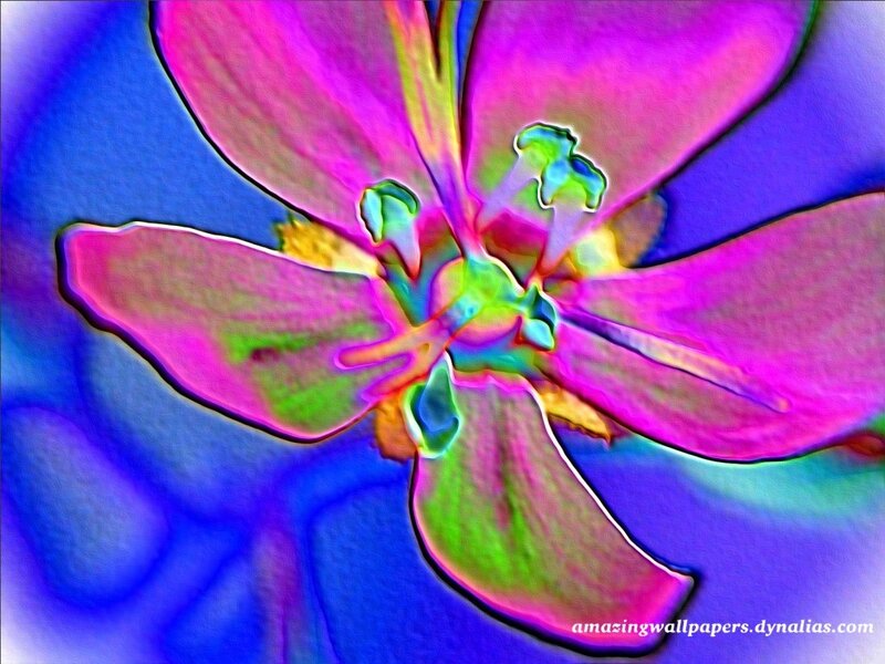 vibrant flower close-up