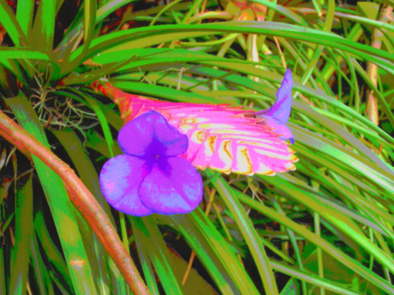 vibrant flower in green foliage