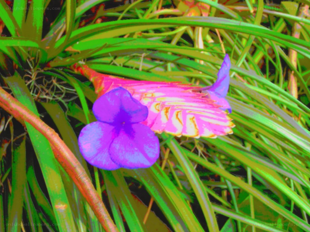 vibrant flower in green foliage