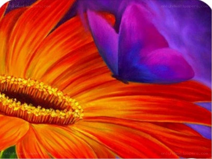 vibrant flower with butterfly