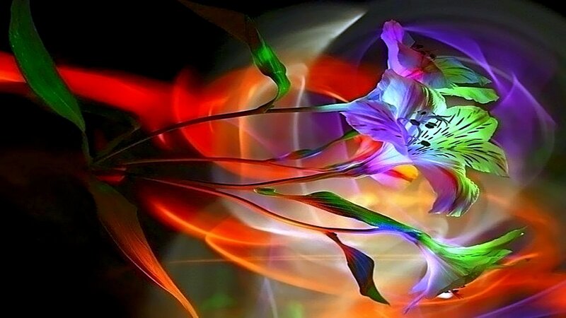 vibrant flower with colorful light