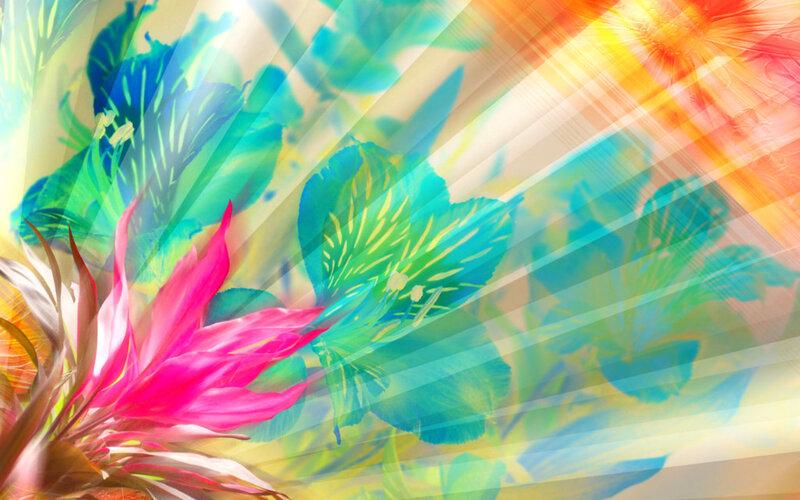 Vibrant Flower with Light Rays