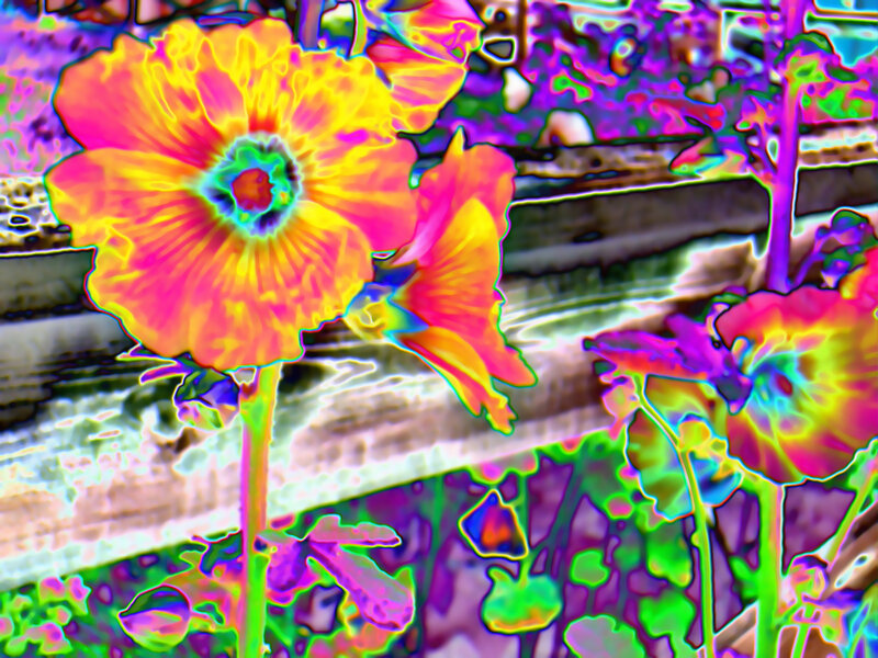 vibrant flower with psychedelic effect