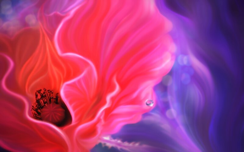 vibrant flower with water droplet