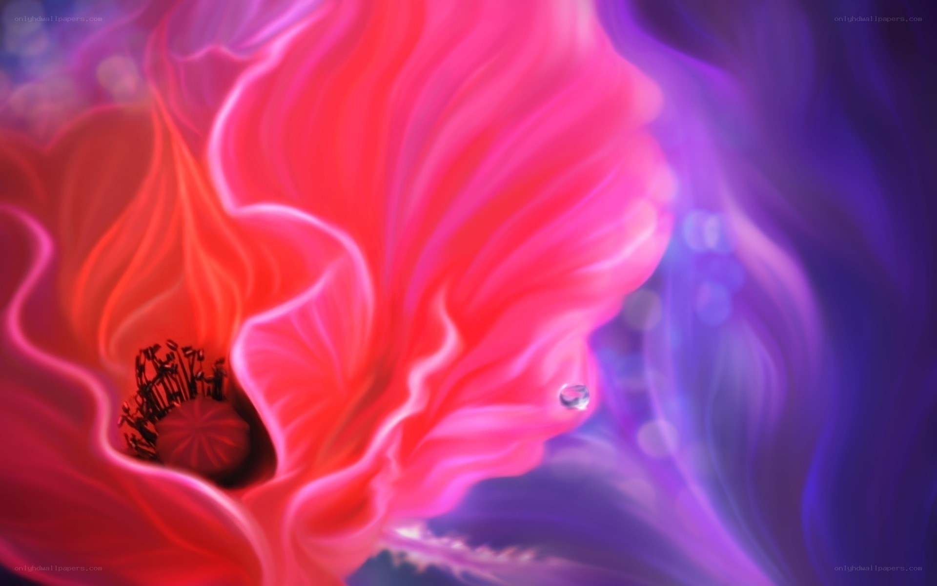 vibrant flower with water droplet