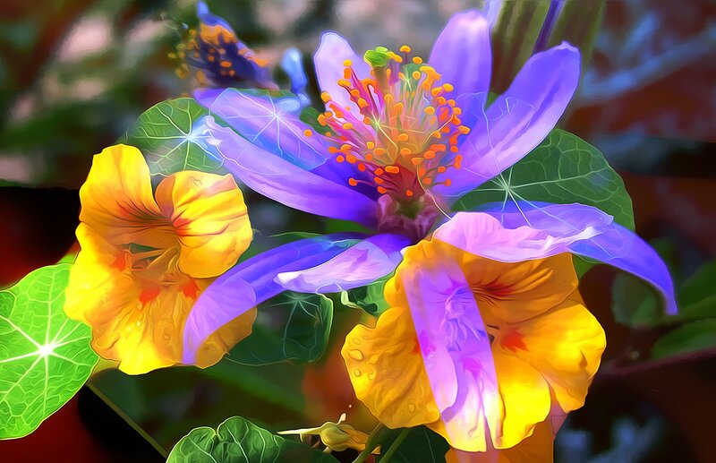 Vibrant Flowers and Leaves — Purple