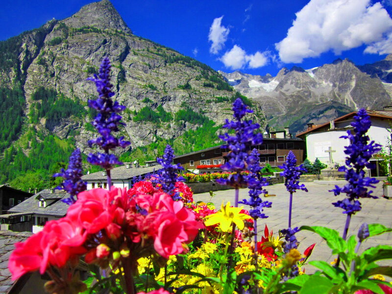 Vibrant Flowers in Mountain Village