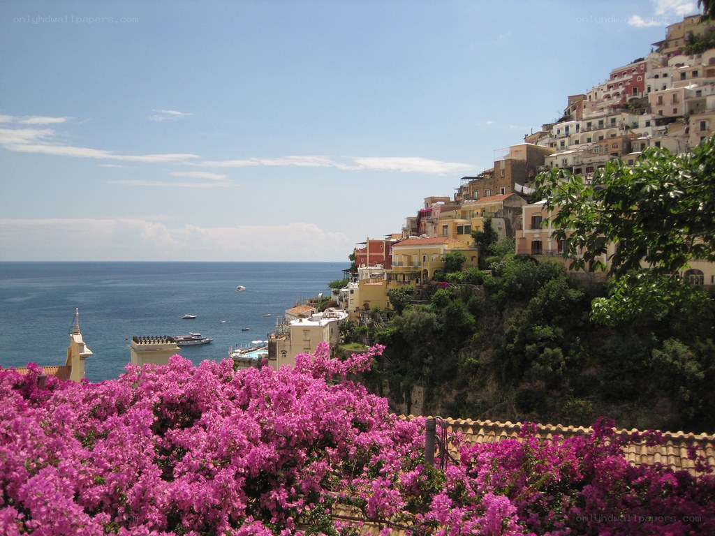 Vibrant flowers overlook coastal town