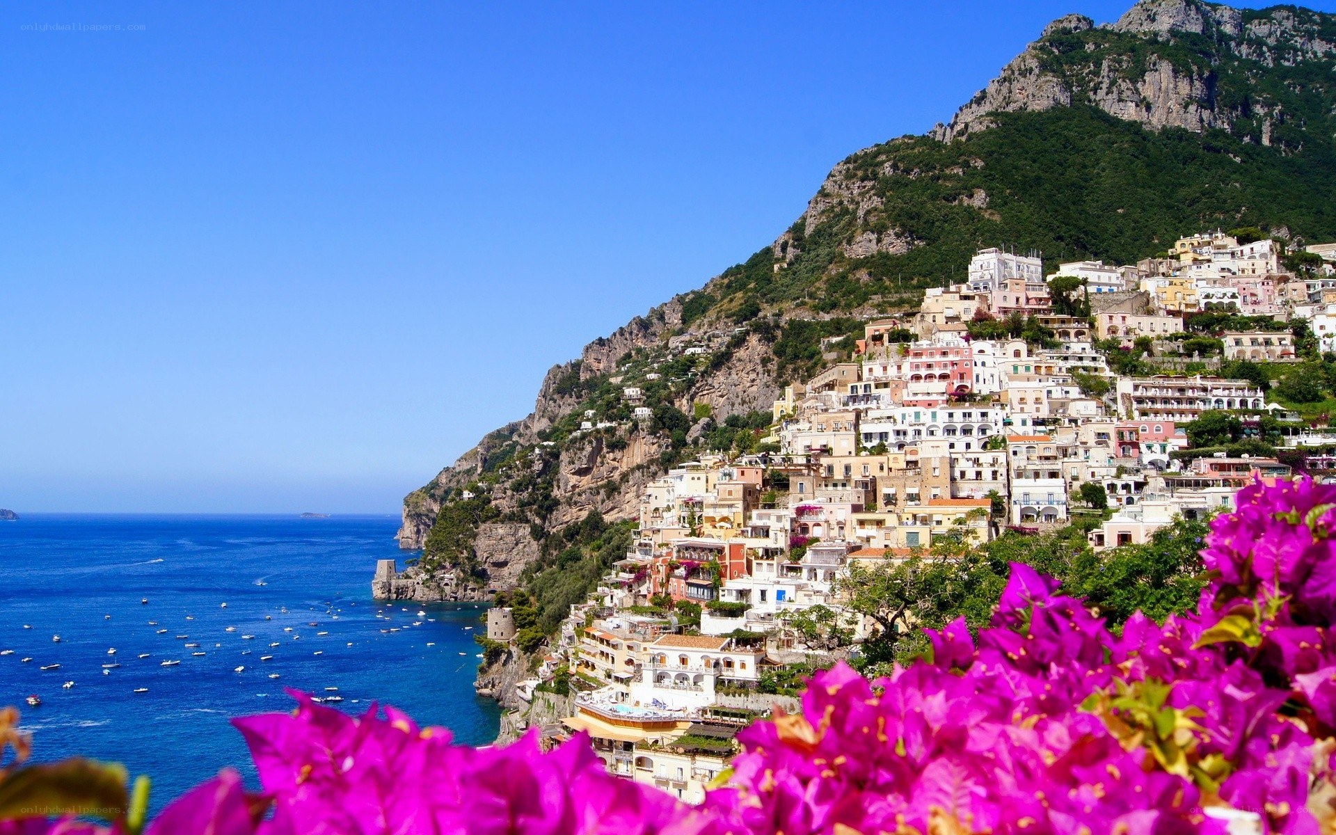 Vibrant flowers overlook coastal town