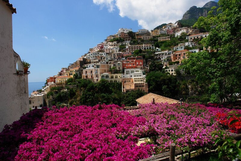 Vibrant flowers overlook coastal village