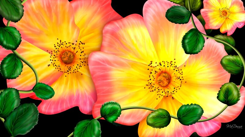 vibrant flowers with green leaves