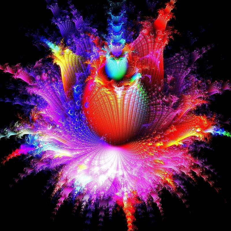 vibrant fractal explosion