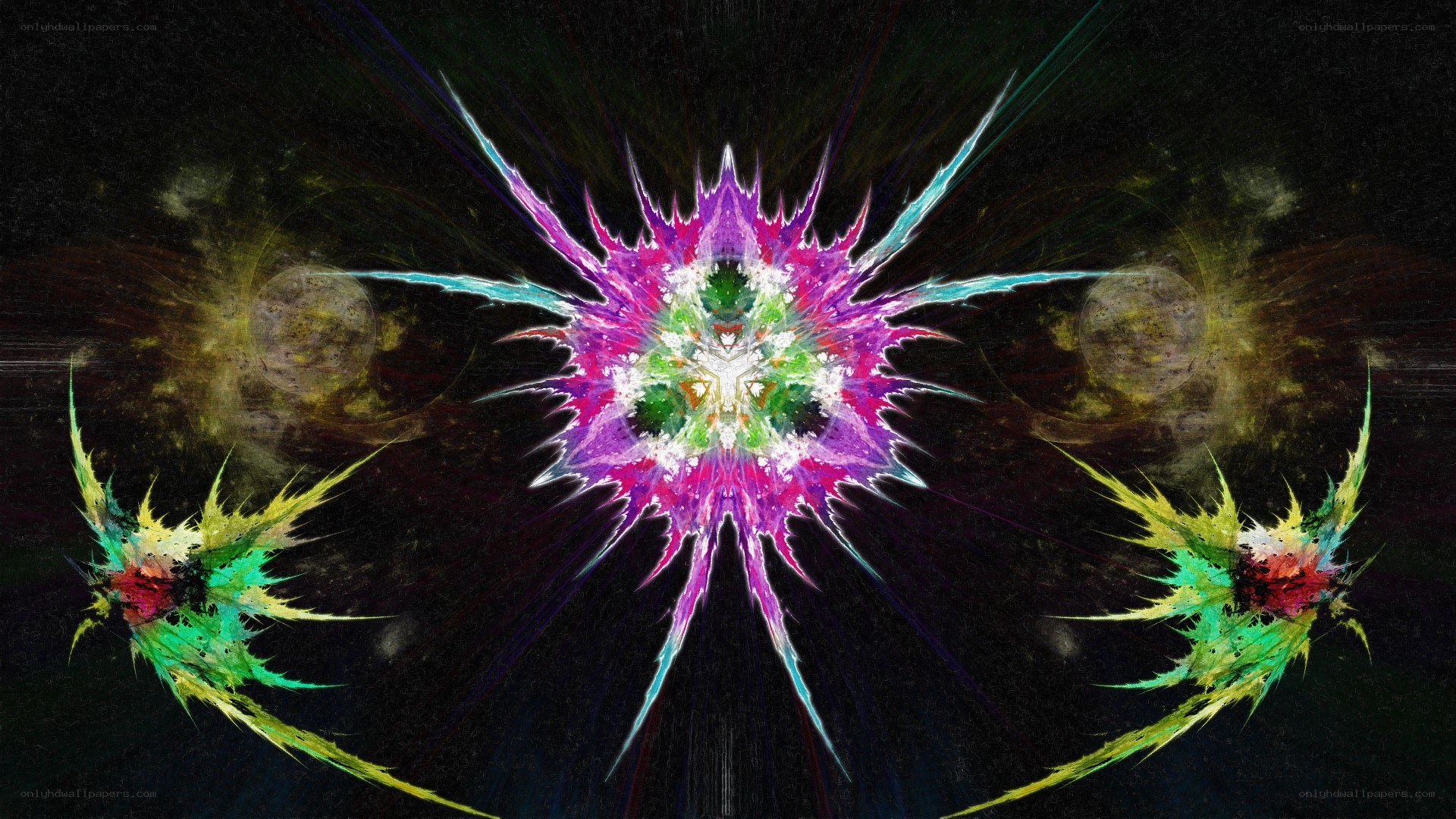 vibrant fractal explosion