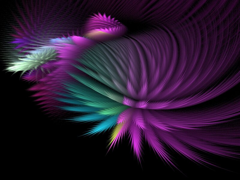 vibrant fractal feather design